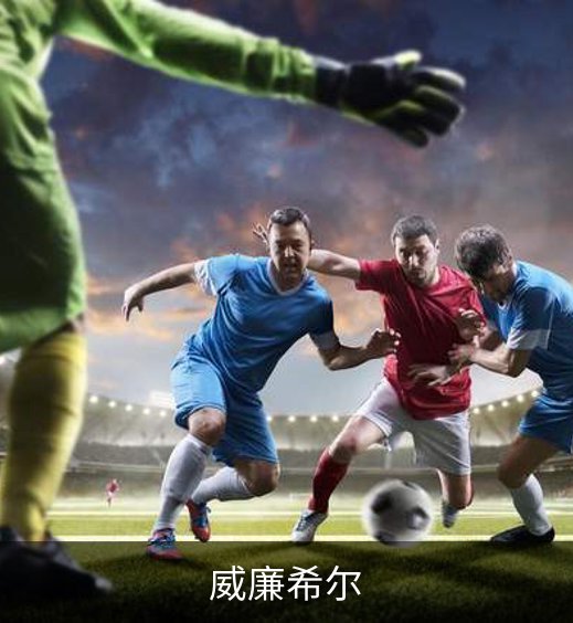 威廉希尔简介